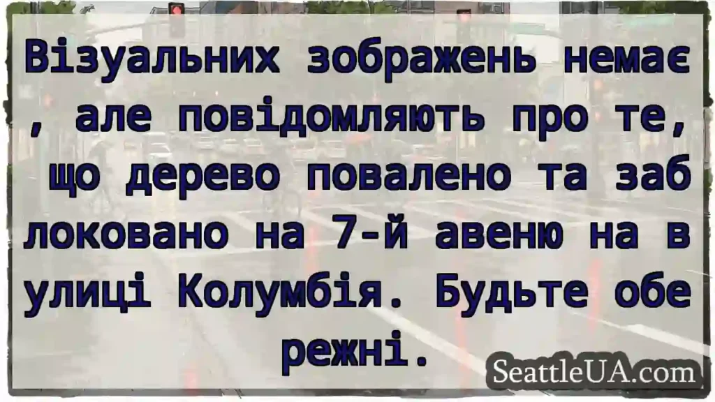 Візуальних зображень немає, але повідомляють про