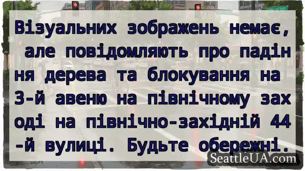 Візуальних зображень немає, але повідомляють про