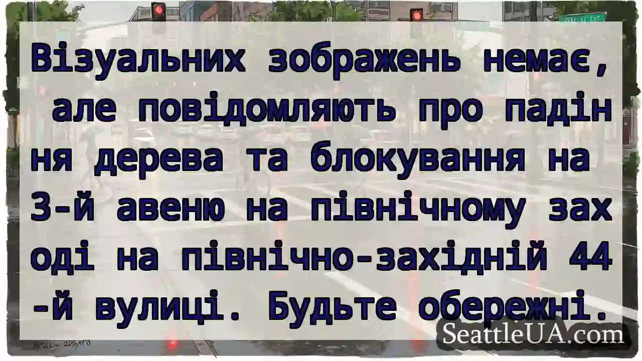 Візуальних зображень немає, але повідомляють про