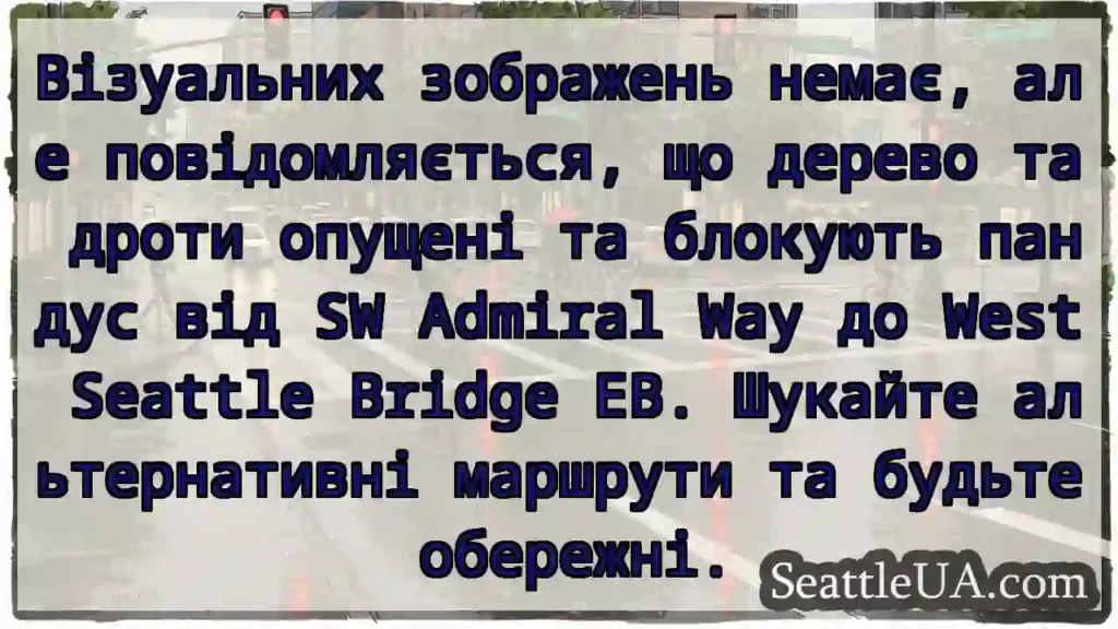 Візуальних зображень немає, але повідомляється,