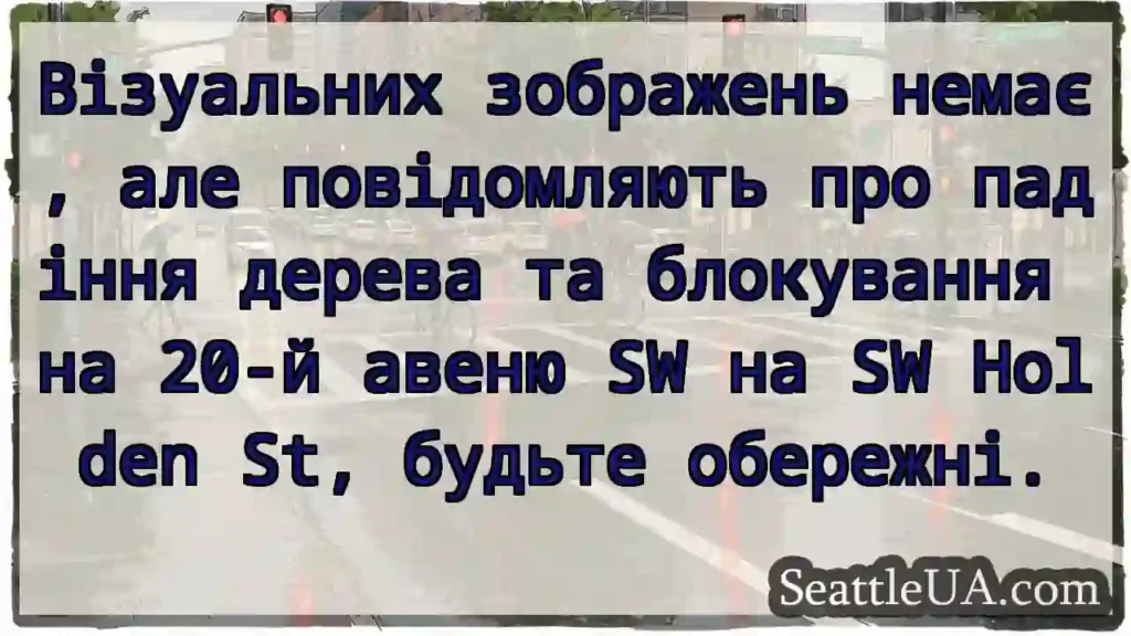 Візуальних зображень немає, але повідомляють про