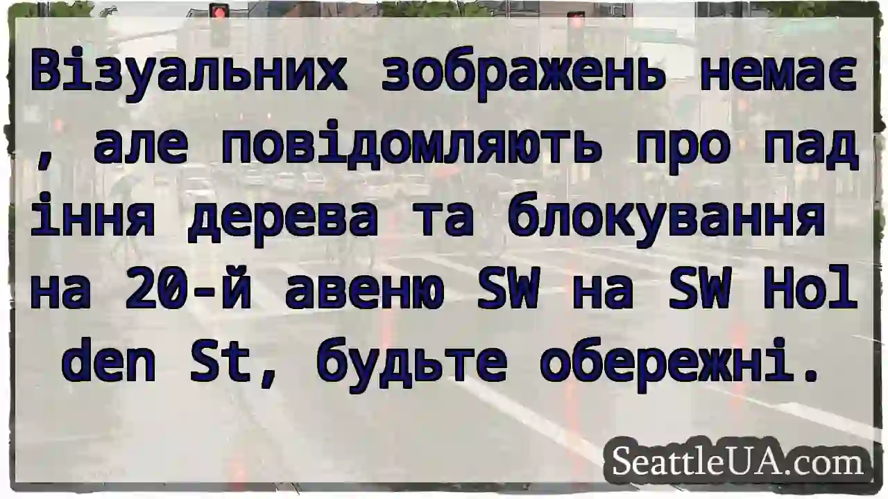 Візуальних зображень немає, але повідомляють про