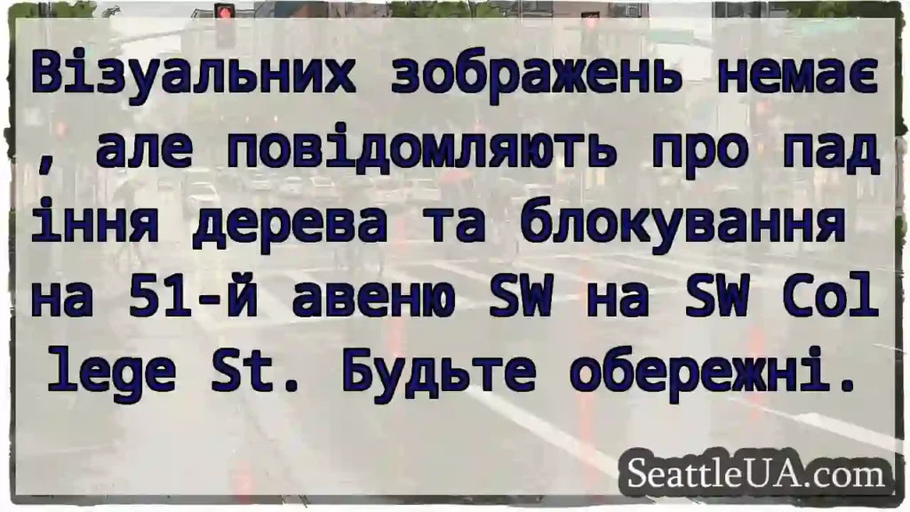 Візуальних зображень немає, але повідомляють про