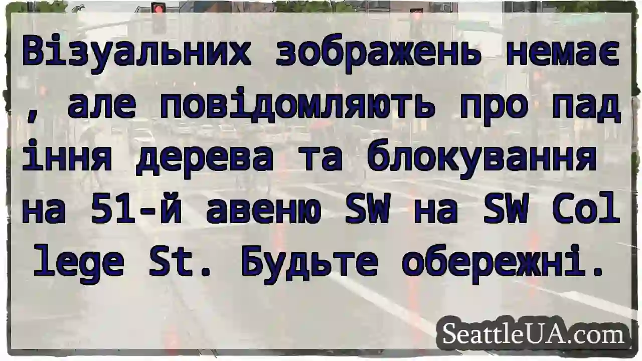 Візуальних зображень немає, але повідомляють про