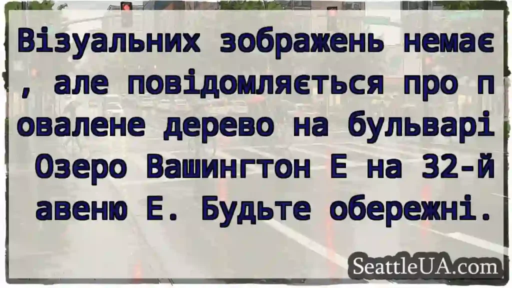 Візуальних зображень немає, але повідомляється