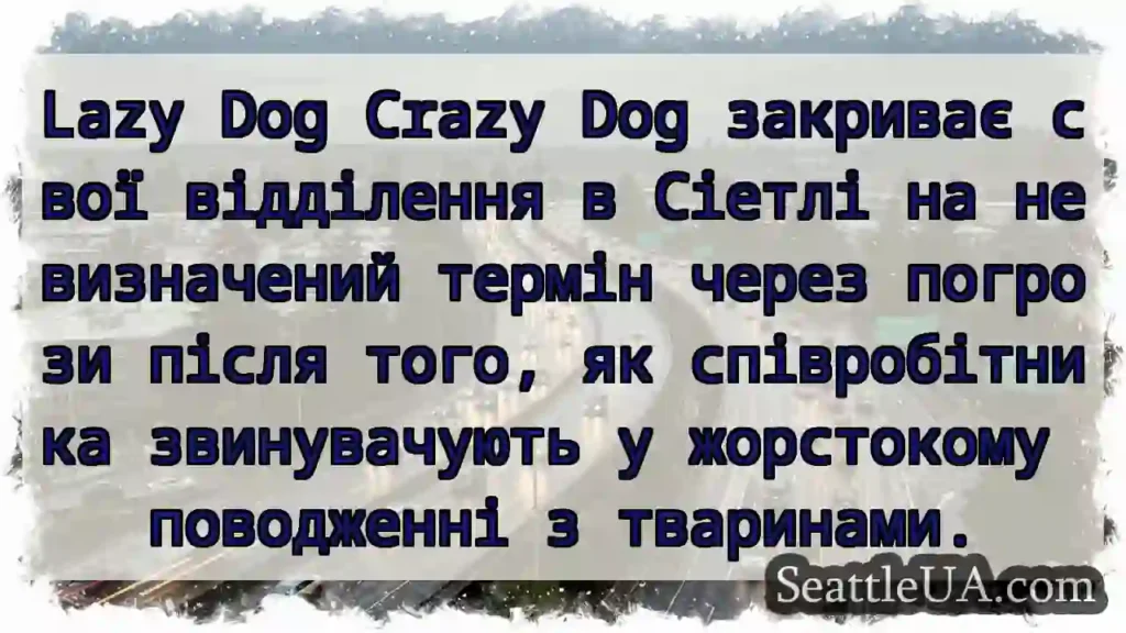 Lazy Dog Crazy Dog закриває свої відділення в
