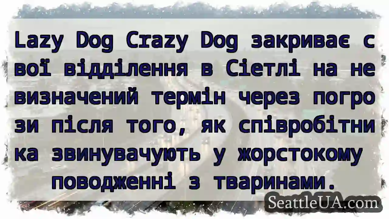 Lazy Dog Crazy Dog закриває свої відділення в