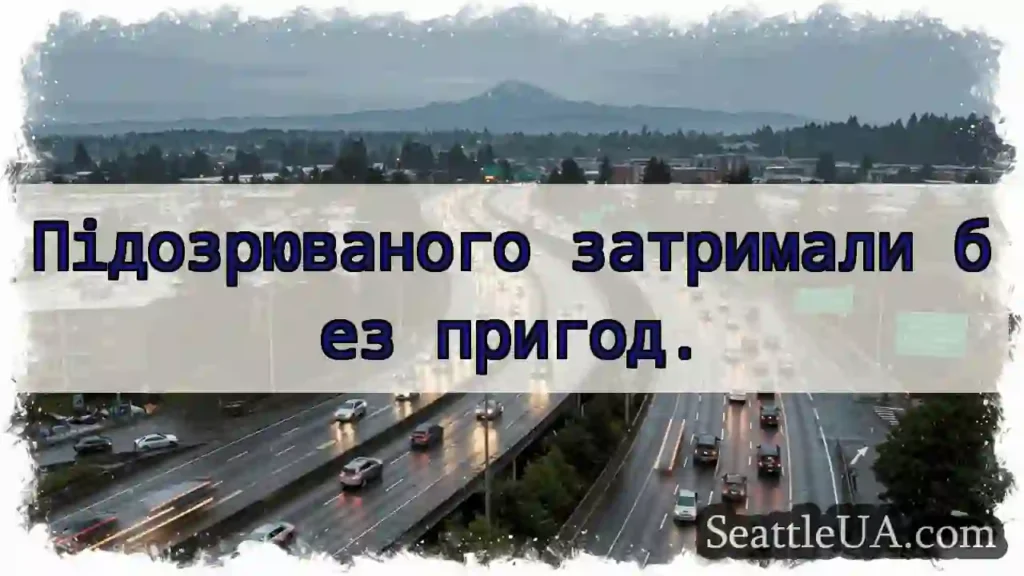 Підозрюваного затримали без пригод.