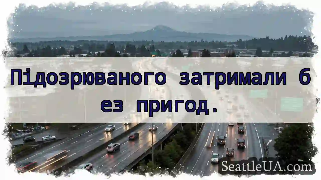 Підозрюваного затримали без пригод.
