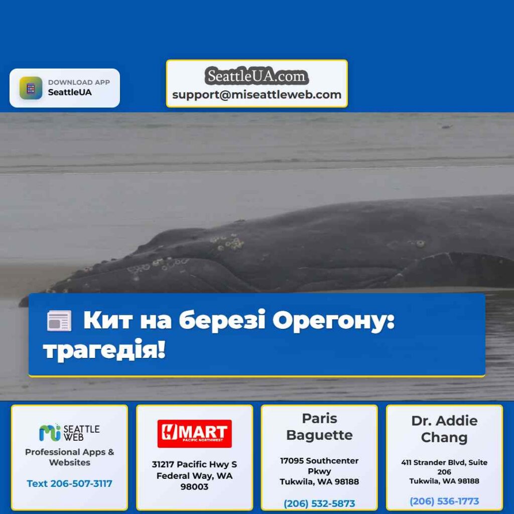 Кит на березі Орегону: трагедія!
