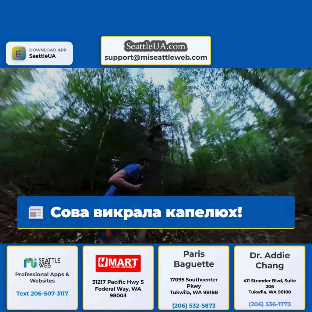 Сова викрала капелюх!