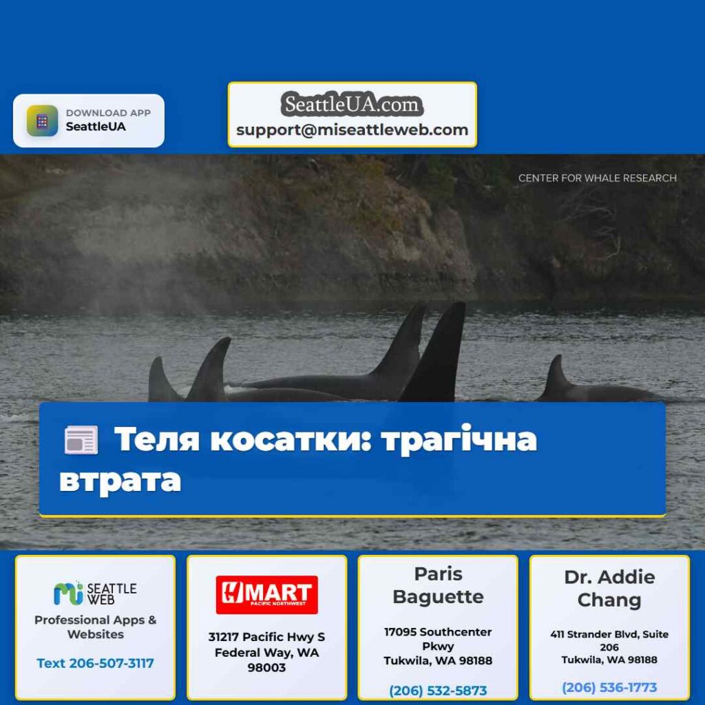 Теля косатки: трагічна втрата