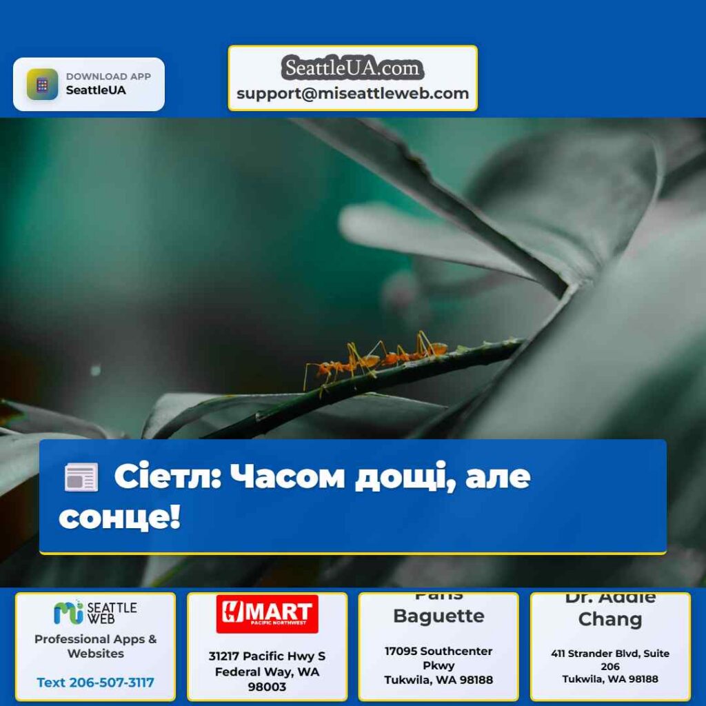 Сіетл: Часом дощі, але сонце!