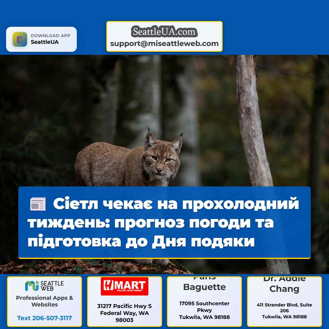 Сіетл чекає на прохолодний тиждень: прогноз
