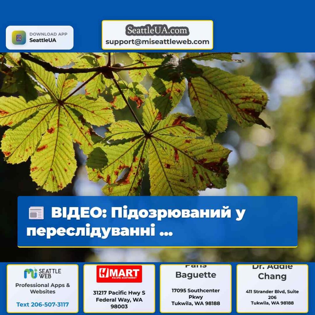 ВІДЕО: Підозрюваний у переслідуванні ...