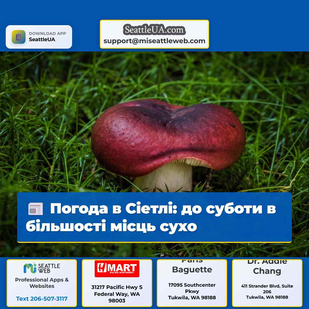 Погода в Сіетлі: до суботи в більшості місць сухо