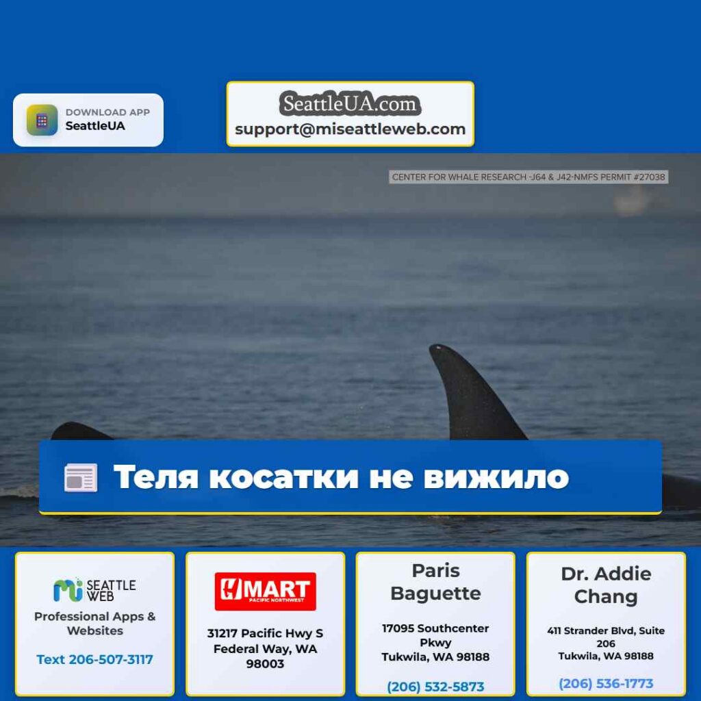 Теля косатки не вижило