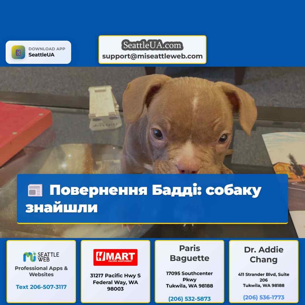 Повернення Бадді: собаку знайшли