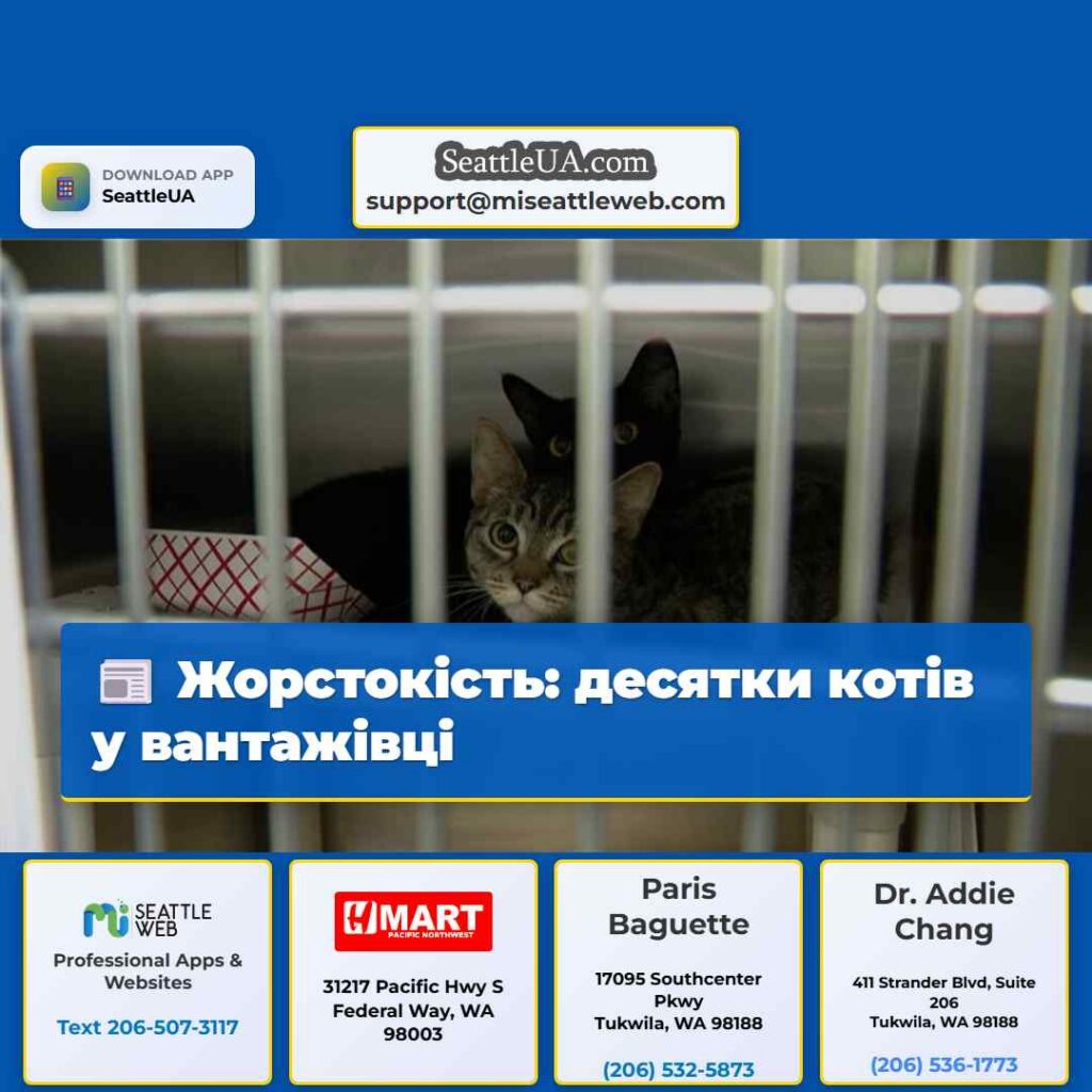 Жорстокість: десятки котів у вантажівці