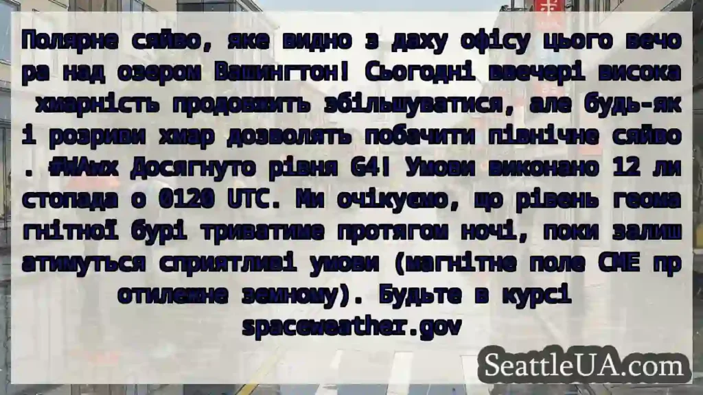 Полярне сяйво, яке видно з даху офісу цього
