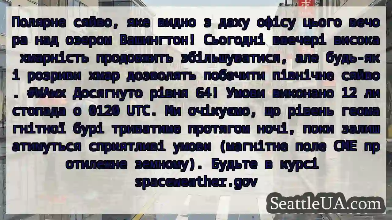 Полярне сяйво, яке видно з даху офісу цього