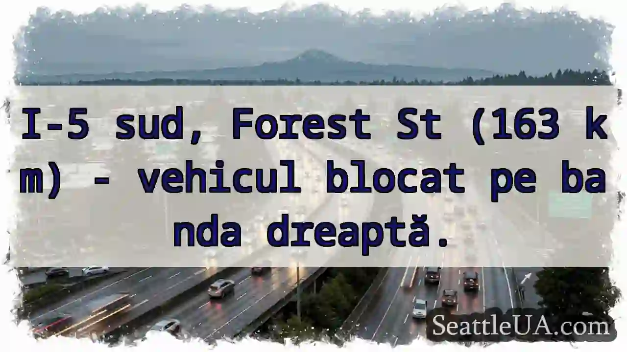 Vehicul blocat! I-5 sud, km 163.