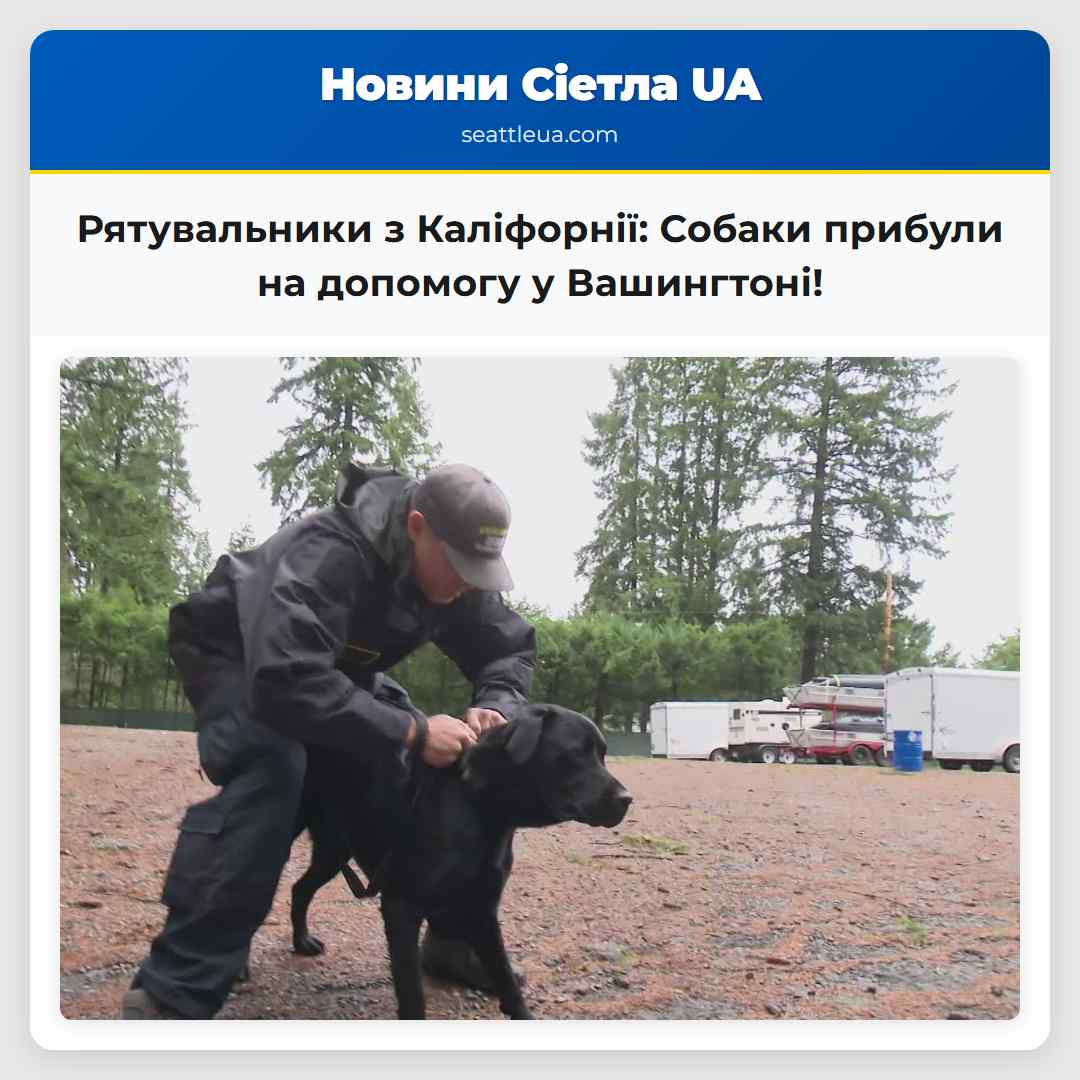 Рятувальні собаки з Каліфорнії прибули на допомогу у Вашингтоні під час повеней