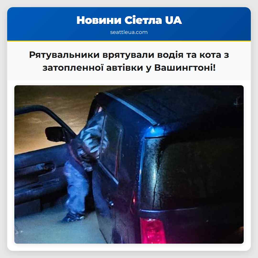 Рятувальники West Mason Fire врятували водія та кота з затопленної автівки