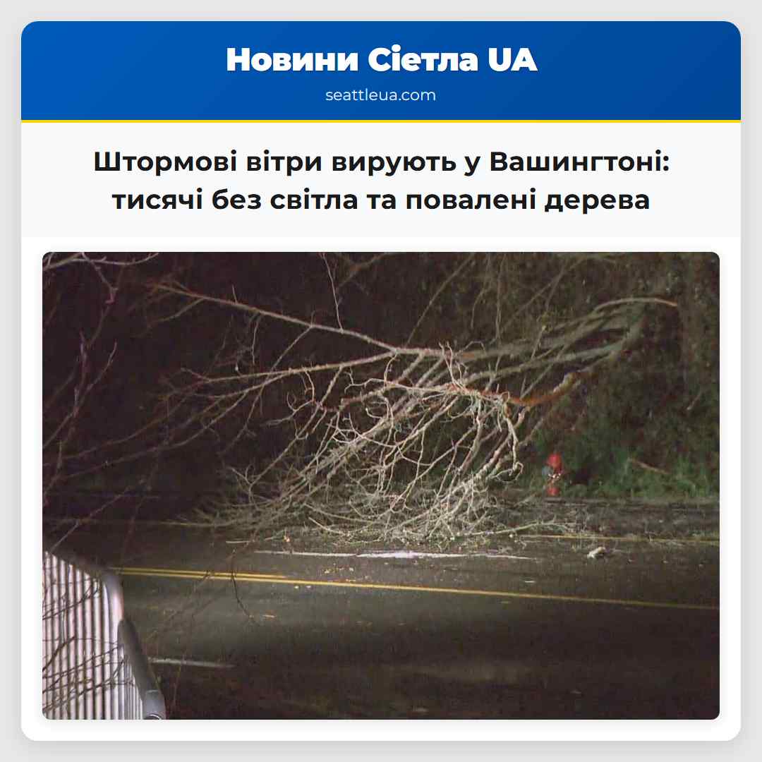 Потужні штормові вітри вирували у Західній Вашингтоні спричинивши відключення електроенергії та повалення дерев