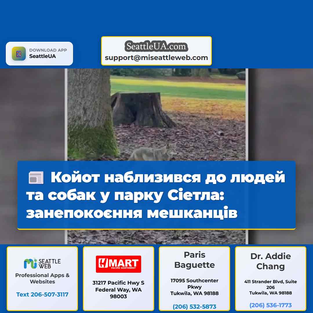 Койот наблизився до людей та собак у парку