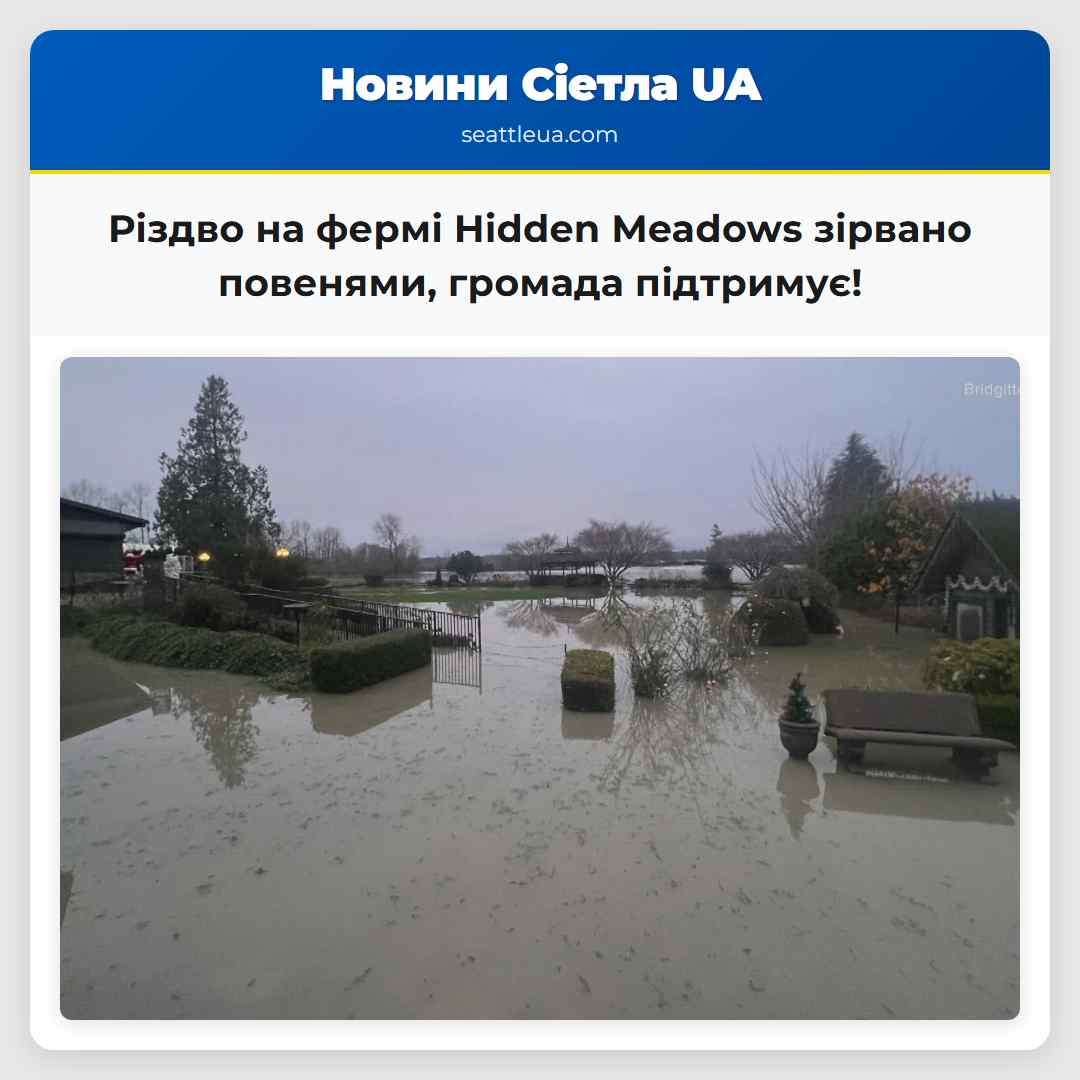 Різдво на фермі Hidden Meadows зірвано повенями,