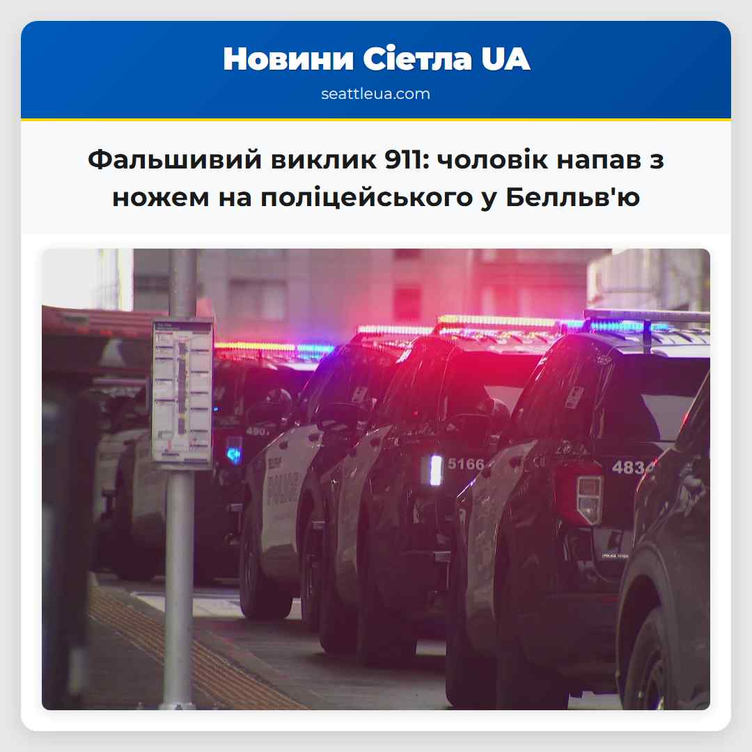 Фальшивий виклик 911: чоловік напав з ножем на