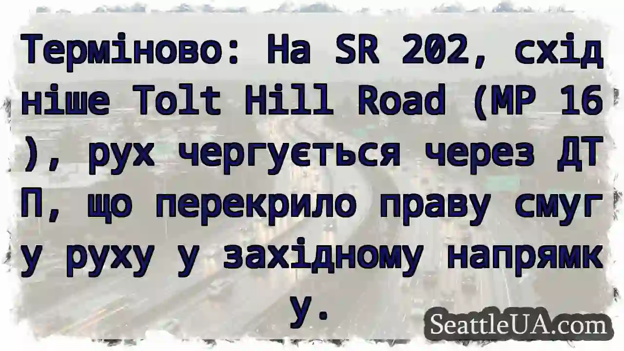 SR 202: Рух чергується! ДТП!