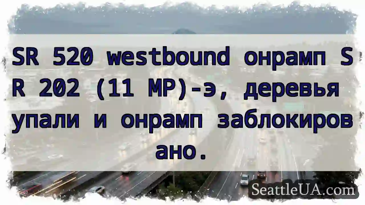 Онрамп 202 заблокирован! Деревья!