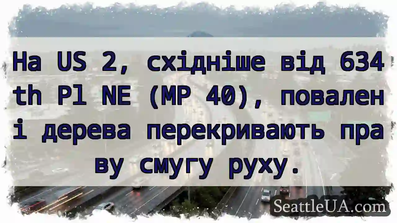 Дерева! Права смуга заблокована на US 2.