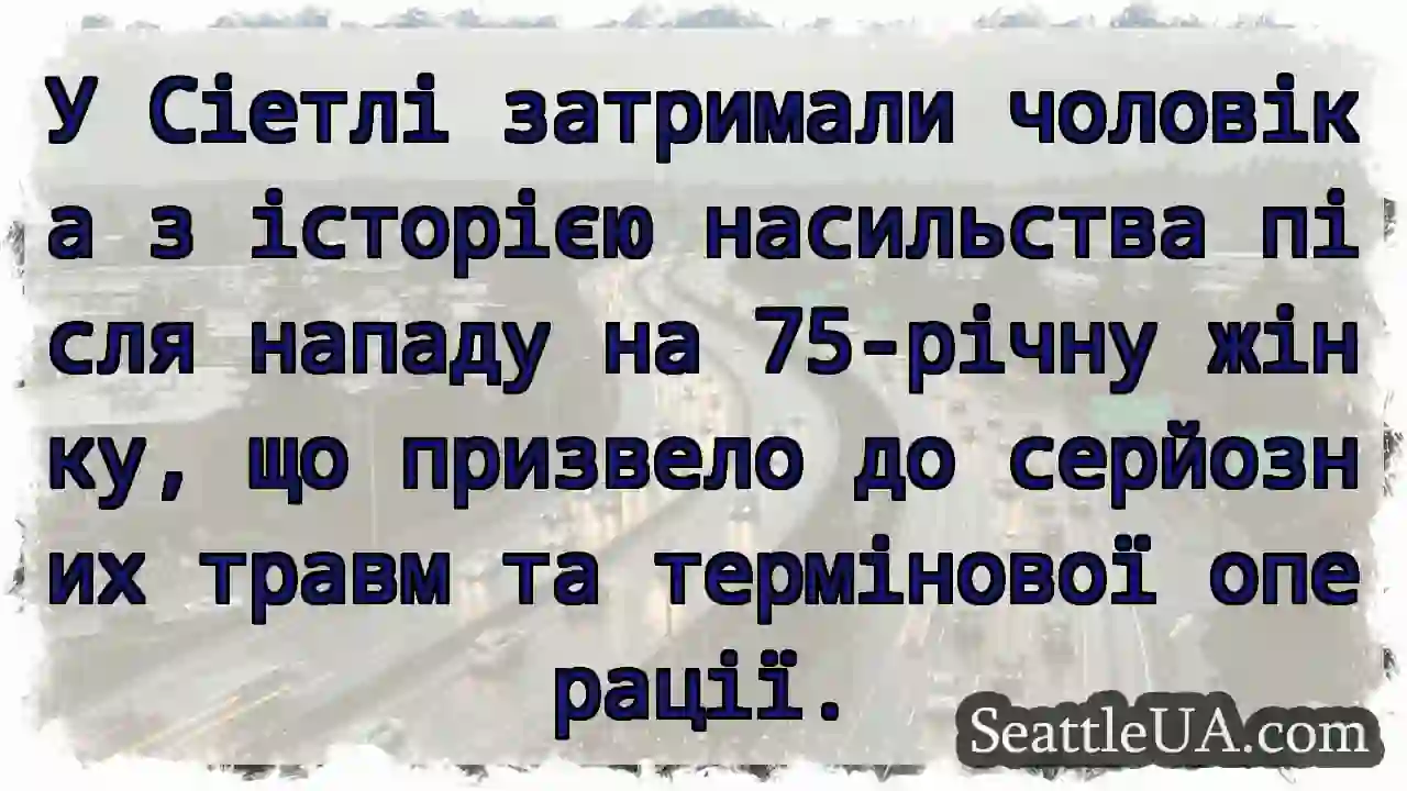 Напад у Сіетлі: серйозні травми!