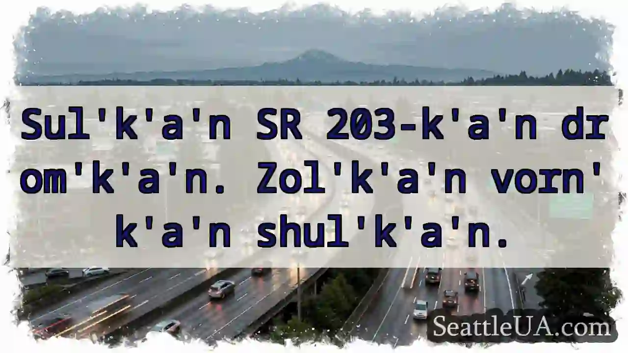 SR 203-k&#039;a&#039;n. Zol&#039;k&#039;a&#039;n vorn&#039;k&#039;a&#039;n.