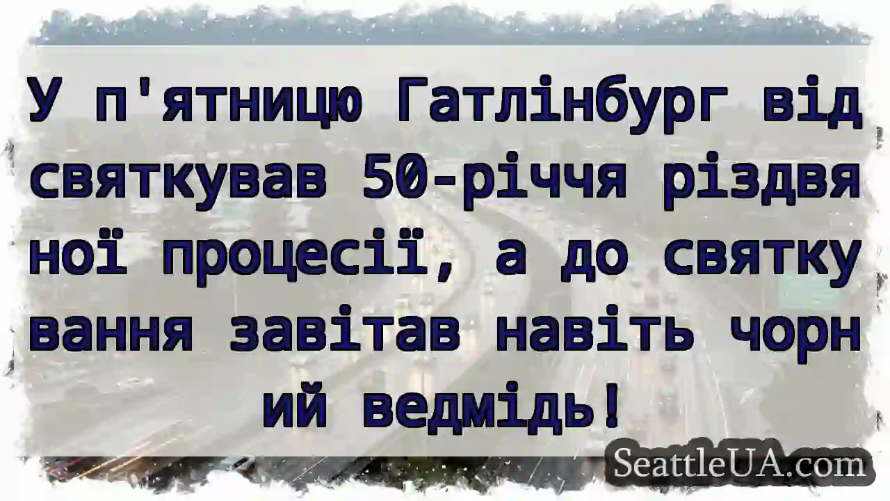 Ведмідь на Різдвяній Процесії! 🐻