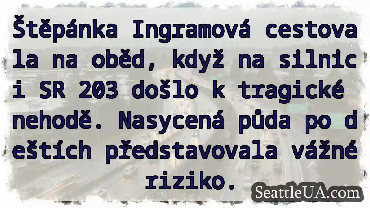 Tragická nehoda na SR 203. Nebezpečná půda.