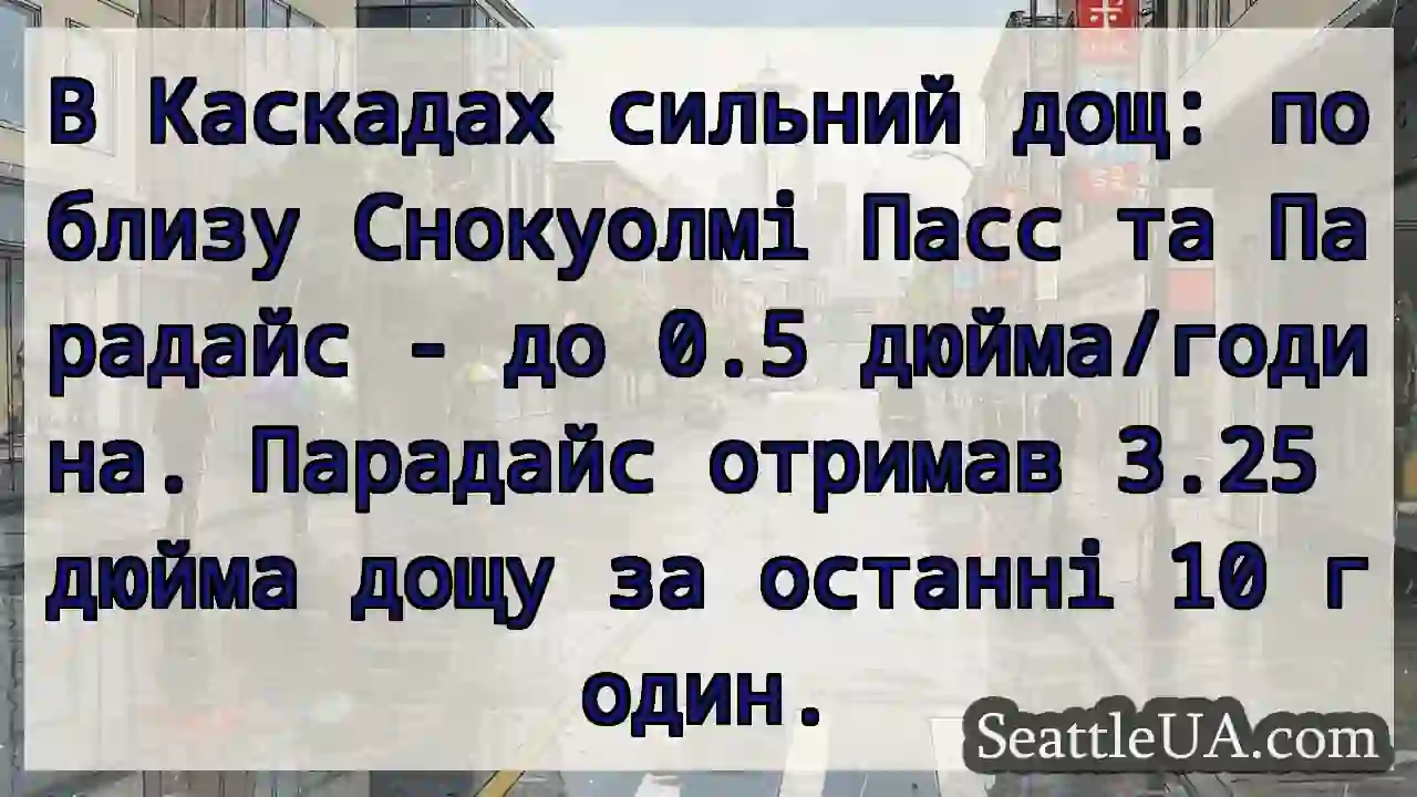 🌧️ Снокуолмі: дощ! До 0.5 дюйма/год.