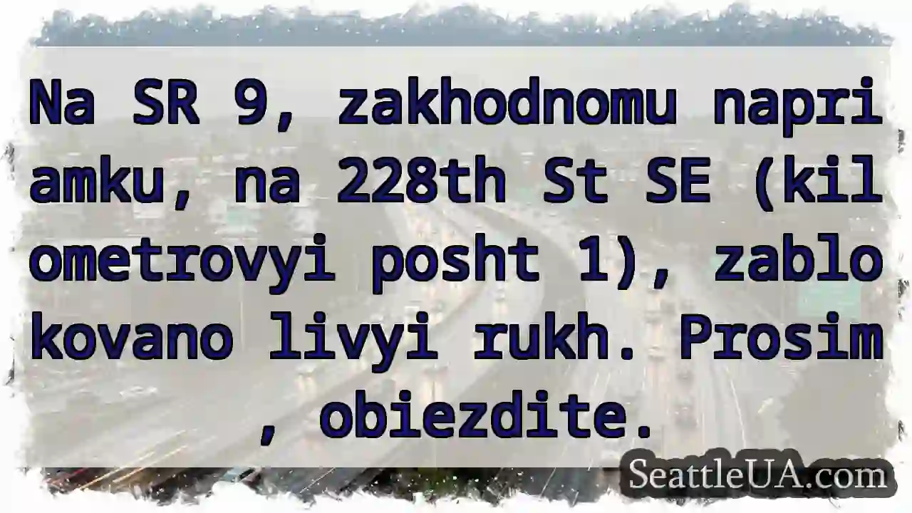 Livyi rukh zablokovano! 228th SE.