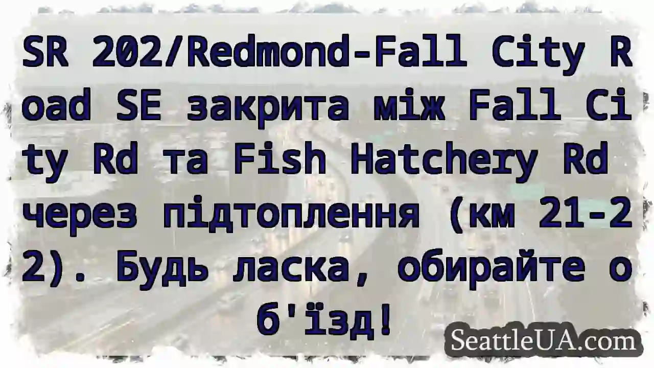 SR 202: Підтоплення! Об&#039;їзд!