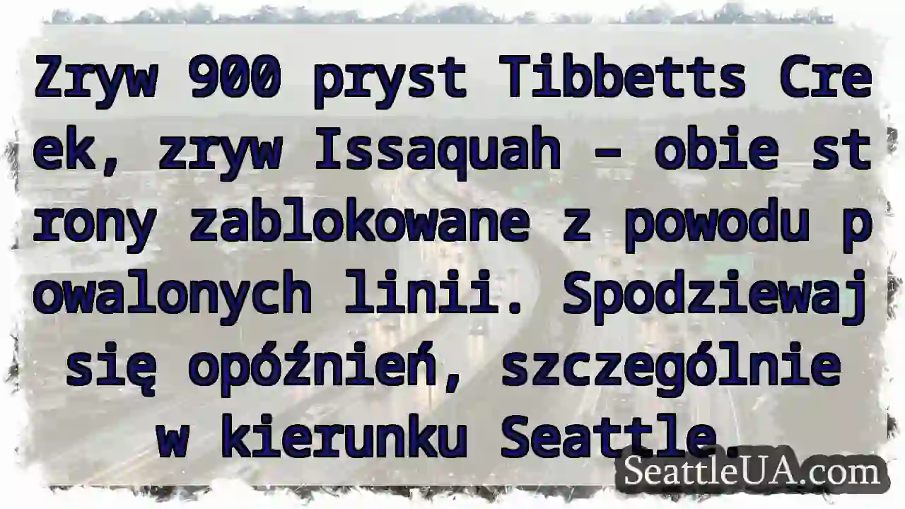 Linie padły! Zryw zablokowany.