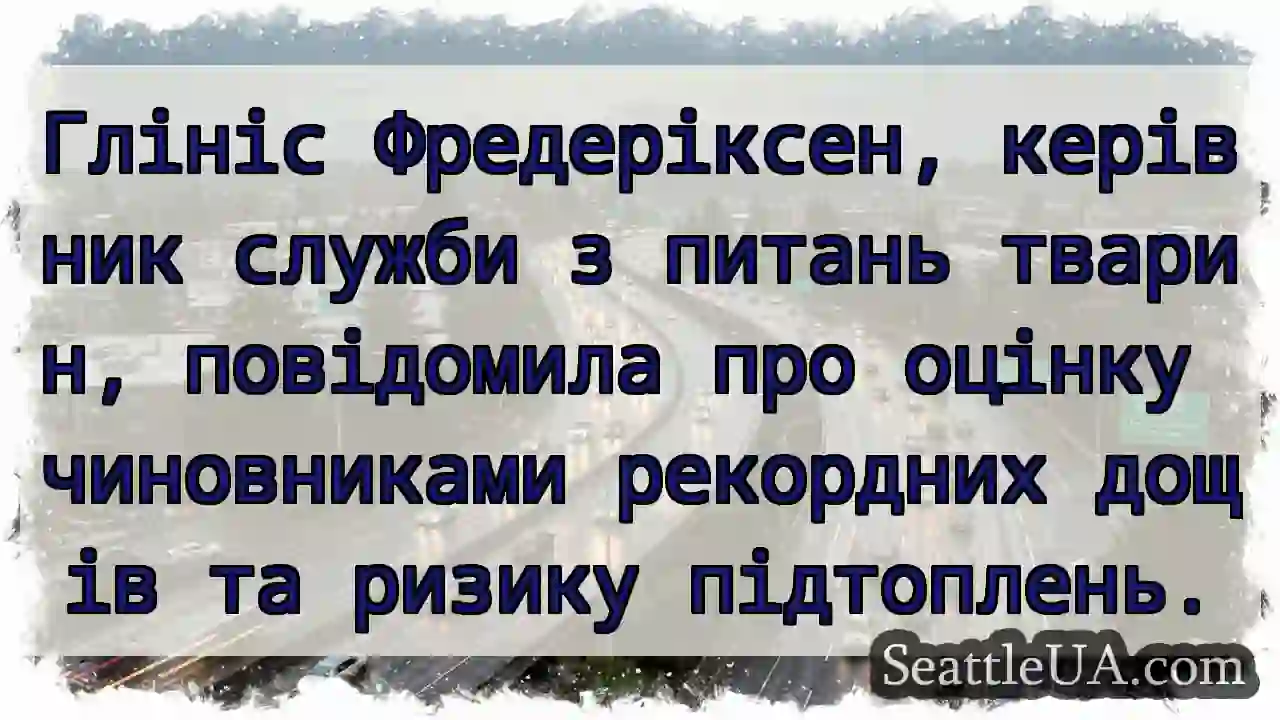 Рекордні дощі! Ризик підтоплень!