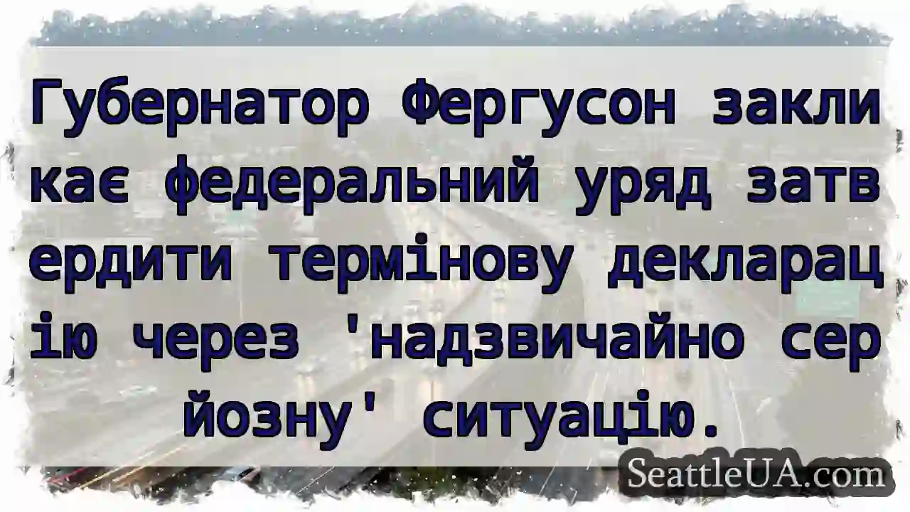 Термінова декларація: критична ситуація!