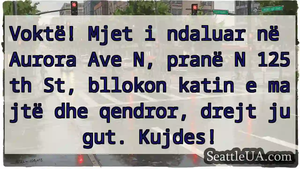 Mjet i ndaluar! Shiko Aurora Ave N!