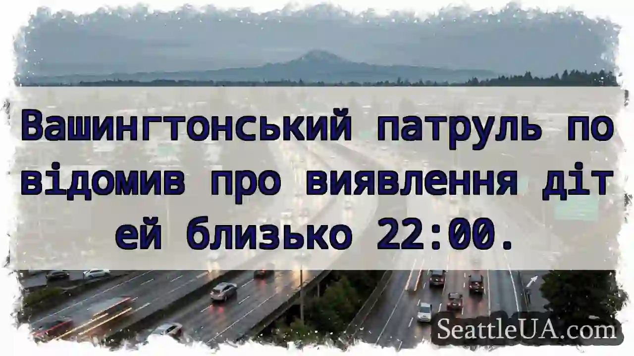 Діти знайдені! Патруль, 22:00.