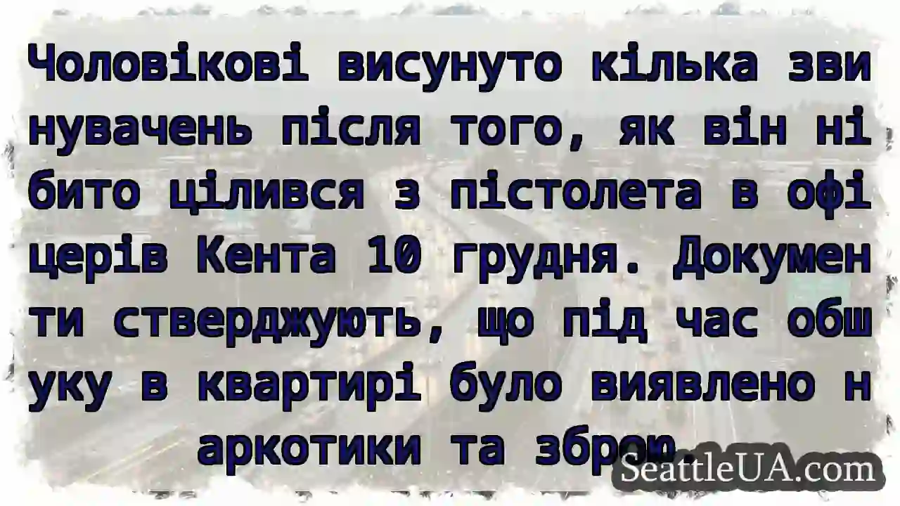 Чоловікові висунуто кілька звинувачень після