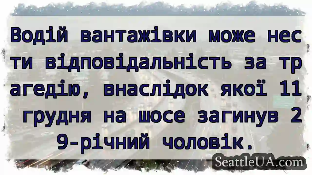Трагедія на шосе: водій несе відповідальність