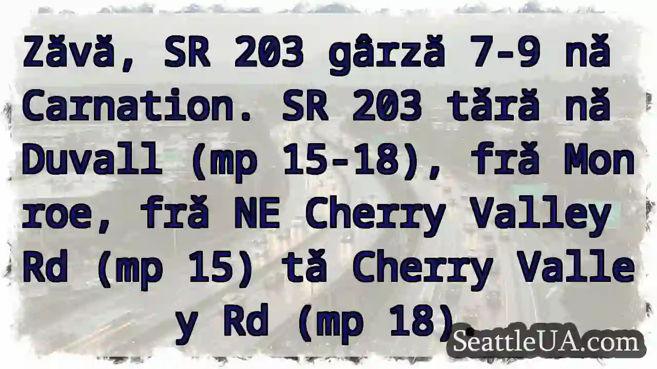 SR 203: Gârză 7-9, Carnation & Duvall!